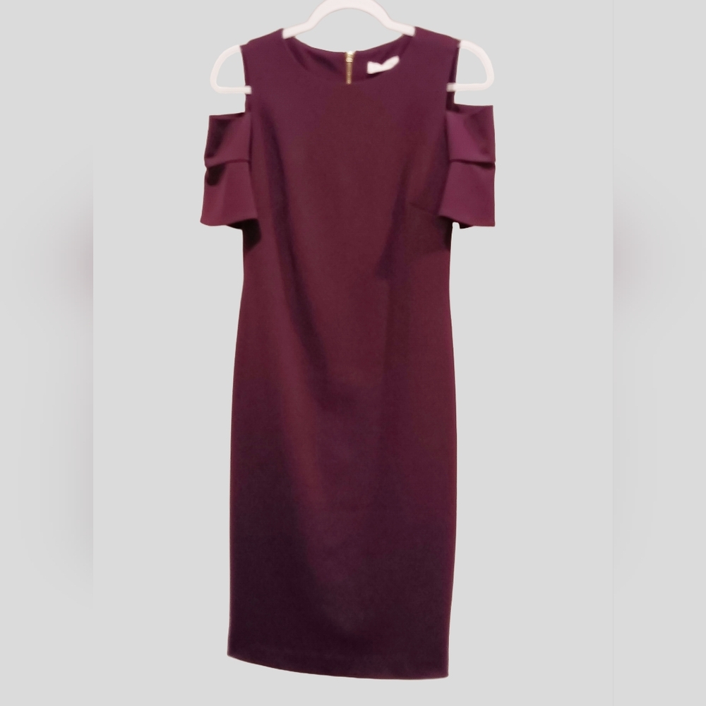 Calvin Klein Mulberry Purple Dress